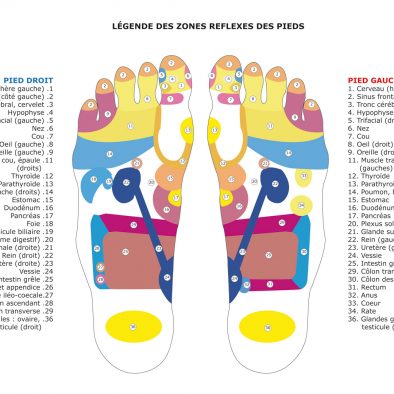 Légendes des zones réflexes des pieds - Équilibre & Sens