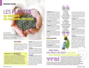 Les plantes au secours du système nerveux